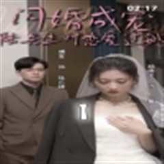 免费在线观看《闪婚成宠，陆先生对恋爱过敏》