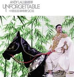 免费在线观看《刘德华Unforgettable中国巡回演唱会2011》