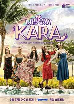 免费在线观看《只有没有我，KARA》