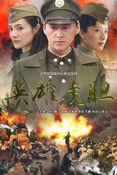 免费在线观看《英雄虎胆2006》