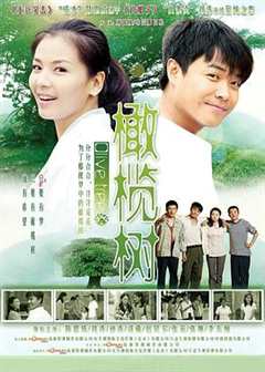 免费在线观看《橄榄树2011》