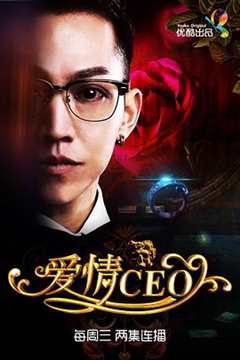 免费在线观看《爱情CEO》