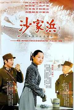 免费在线观看《沙家浜2006》