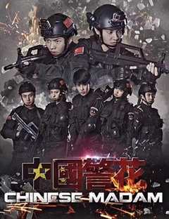 免费在线观看《中国警花》