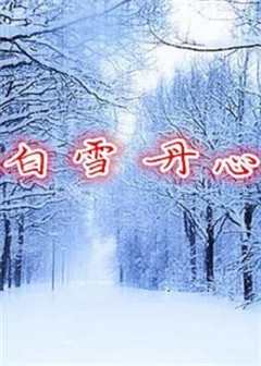 免费在线观看《白雪丹心》