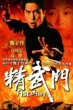 免费在线观看《精武门1995国语》