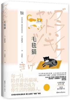 免费在线观看《毛毯猫》