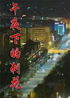 免费在线观看《午夜下的刺花》