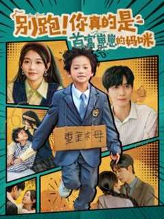 免费在线观看《别跑你真的是首富崽崽的妈咪》
