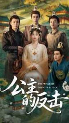 免费在线观看《公主的反击》