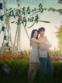 免费在线观看《我的青春小鸟一去再回来》