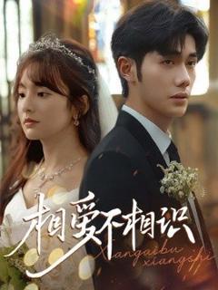 免费在线观看《相爱不相识》
