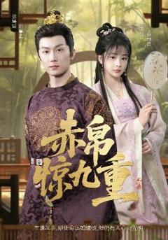 免费在线观看《赤帛惊九重》