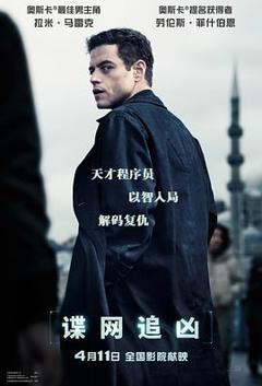 免费在线观看《谍网追凶》