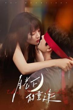 免费在线观看《月光下的重逢》