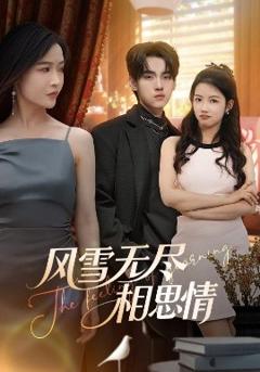免费在线观看《风雪无尽相思情》