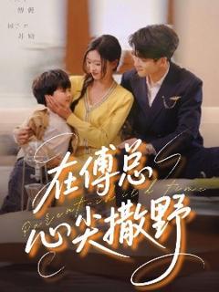 免费在线观看《在傅总心尖撒野》