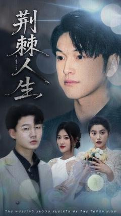 免费在线观看《荆棘人生》