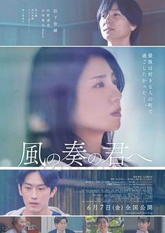 免费在线观看《致演奏风的你》