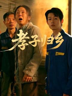 免费在线观看《孝子归乡》