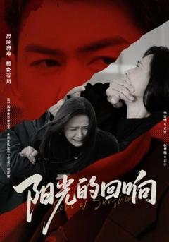 免费在线观看《阳光的回响》