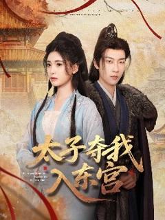 免费在线观看《太子夺我入东宫》