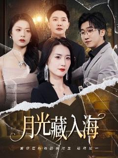 免费在线观看《月光藏入海》