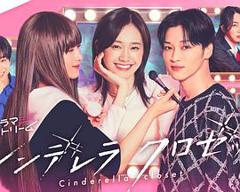 免费在线观看《灰姑娘的魔法衣橱》