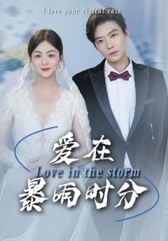 免费在线观看《爱在暴雨时分》