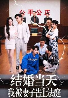 免费在线观看《结婚当天我被妻子告上法庭》