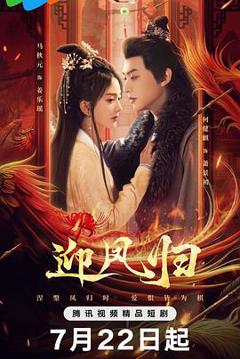 免费在线观看《迎凤归》