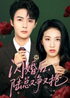 免费在线观看《闪婚后陆总又争又抢》