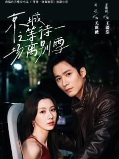 免费在线观看《京城之等待一场离别雪》