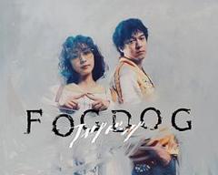 免费在线观看《雾中之犬》