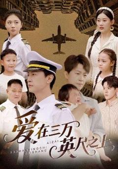 免费在线观看《爱在三万英尺之上》