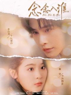 免费在线观看《念念入淮》