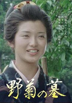 免费在线观看《野菊之墓》