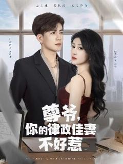 免费在线观看《尊爷，你的律政娇妻不好惹》