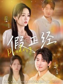 免费在线观看《假正经》