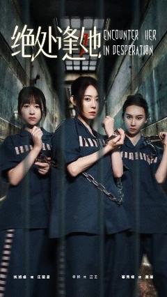 免费在线观看《绝处逢她》