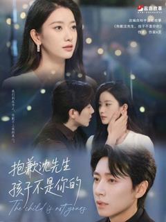 免费在线观看《沈先生我们复合好不好》