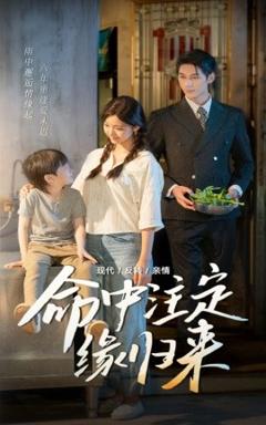 免费在线观看《命中注定缘归来》
