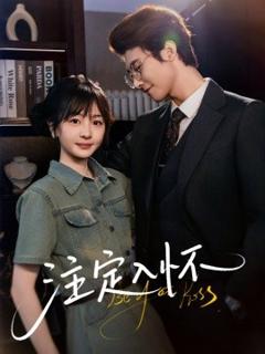 免费在线观看《注定入怀》