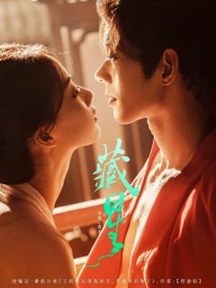 免费在线观看《藏星》