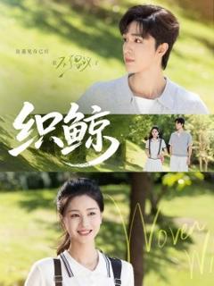 免费在线观看《织鲸》