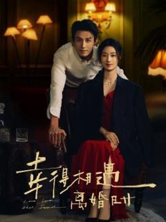 免费在线观看《幸得相遇离婚时》