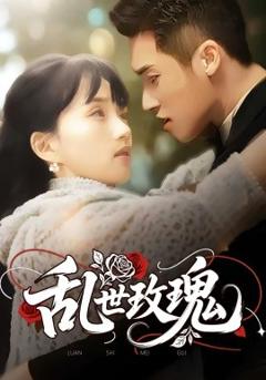 免费在线观看《乱世玫瑰》