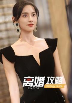 免费在线观看《离婚攻略》