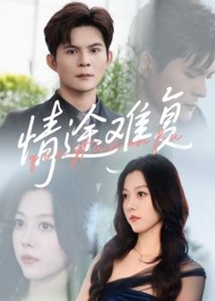 免费在线观看《情途难复》