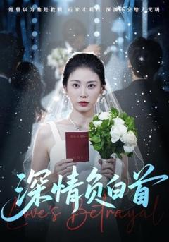 免费在线观看《深情负白首》